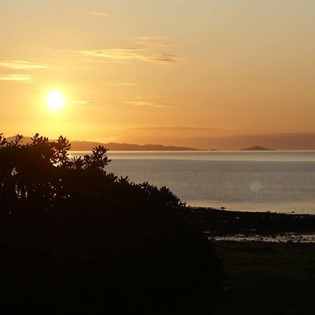 Te Puru Beach Lodge Eksteriør billede