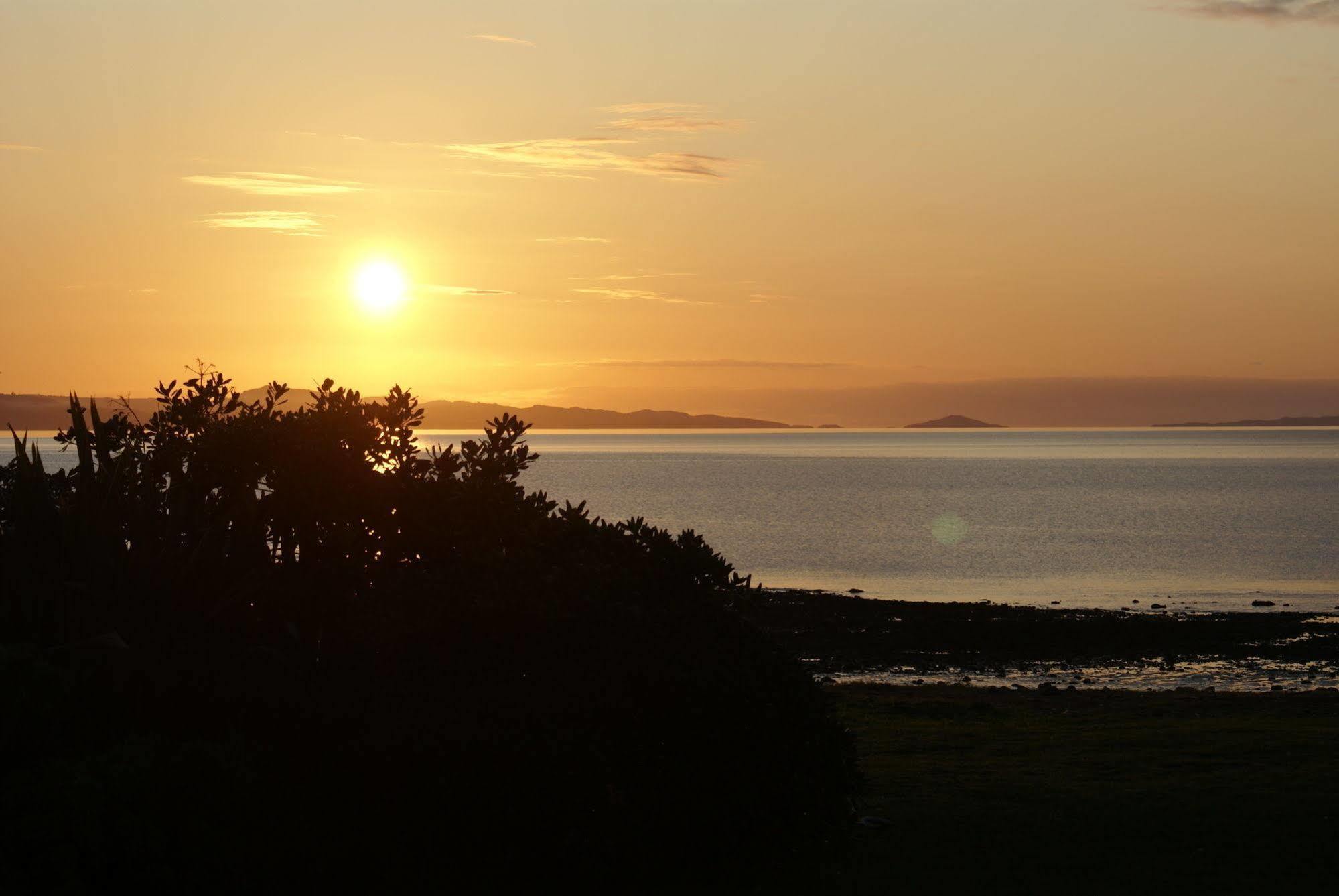 Te Puru Beach Lodge Eksteriør billede
