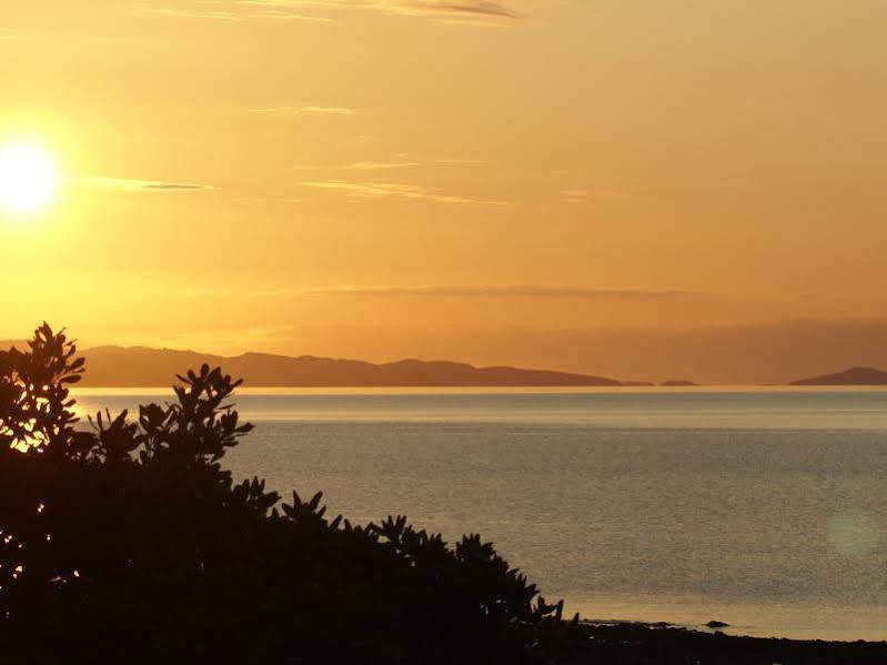 Te Puru Beach Lodge Eksteriør billede